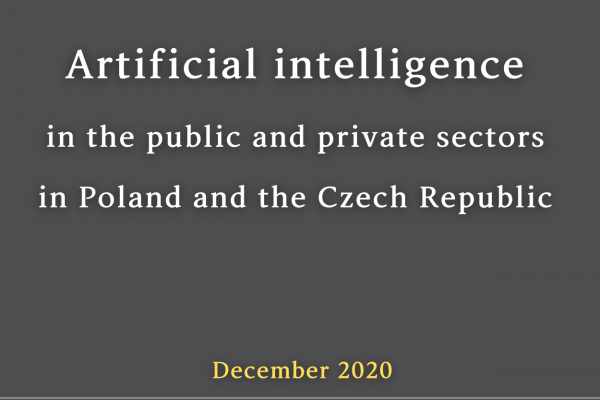 Wykorzystanie sztucznej inteligencji w sektorze publicznym i prywatnym w Polsce i Czechach – analiza porównawcza
